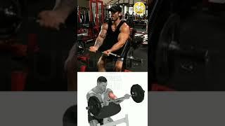 Best Biceps Exercise