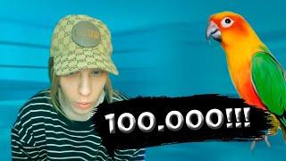 PLOHOYPAREN КУПИТ ПОПУГАЯ ЗА 100.000?// СМОТРИТ ВИДЕО ПРО ПОПУГАЕВ// PLOHOYPAREN STREAM