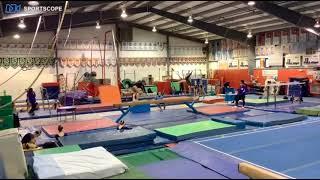 Gymnastics Unlimited (NY) Sample Stream