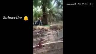 Viral!!  Dua remaja mesum di kebun,ketahuan warga