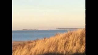 Desert Shore Experience - Maria