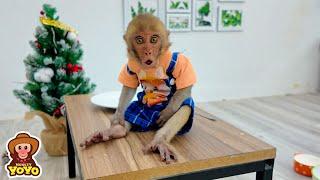 Monkey YiYi so angry when Ủn Ỉn eats all of her food