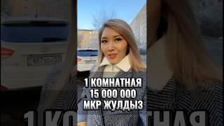 Однушка за 15 000 000