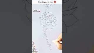 Rose Drawing ll How to Draw Rose #shorts #viral #drawing #rose #flowers