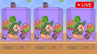 Merge Fellas Italian Brainrot Live Gameplay 71