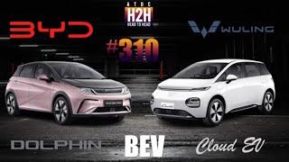 NEW H2H #310 BYD DOLPHIN vs WULING Cloud EV