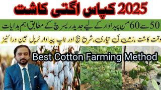 CottonEarlySowing2025|CottonEarlySowingMethod|CottonEarlysowingvarities