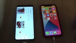 Как передать файлы по USB проводу между iPhone и Android телефоном ? iPhone 11 и Redmi Note 8 Pro