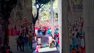 Thaipoosam Cavadee 2025 at Grande Rosalie Mauritius | 11 February 2025