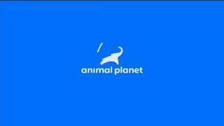 Заставка Animal Planet