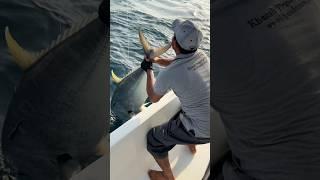 Сколько 35 или 45 кг рыба ? #оман #оманрыбалка #ruslanfishing