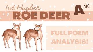 Roe Deer | Ted Hughes | Poetry Analysis | GCSE Literature | English with Kayleigh