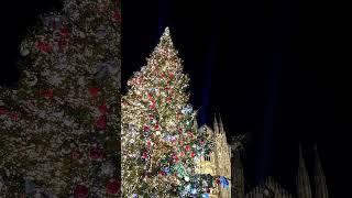 Новогодняя елка в Милане перед собором #Дуомо. #Christmas tree at piazza #Duomo di #Milano