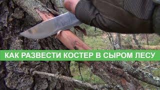 Как развести костер в сыром лесу. Выживание и Bushcraft. Bonfire