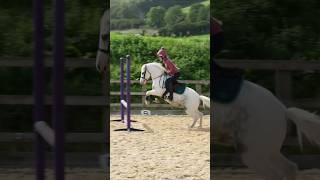 Pt 2 #harlowandpopcorn #horse #edit #equestrian
