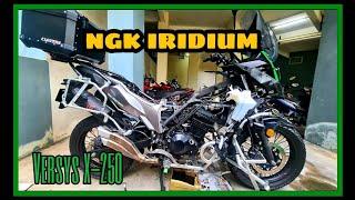 Versys 250 | NGK Iridium Spark Plug | Engine Oil Filter