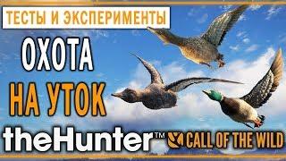 theHunter Call of the Wild #17 СТРИМ  - Охота на Уток в Озерном Крае Лейтон (2020)