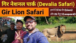 Gir Lion Safari | Gir National Park - Davalia Safari | Jungle Safari | Sasan Gir Gujarat | Wildlife