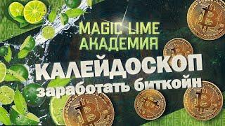 Magic Lime Academy. Бонусно-накопительная программа Kaleidoscope.