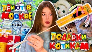 ЕДУ В ПРИЮТ ДЛЯ КОШЕК. распаковка/подарки/700котеек