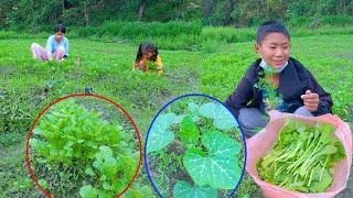 our farming in the Kathmandu || vegetable farming in Nepal || sumnima Rai @SumnimaRaini