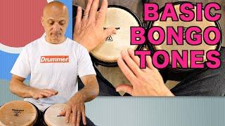 Basic Bongo Tones - How to Play Bongos Tutorial