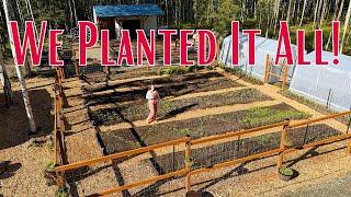 Grow A Year of Food! We Planted 100+ Plants in 1 Day! | Alaska Homestead Garden