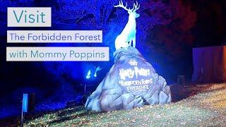 Visit Harry Potter's Forbidden Forest with Mommy Poppins