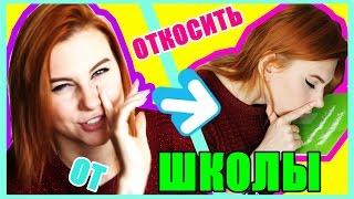 КАК ОТКОСИТЬ ОТ ШКОЛЫ 100%