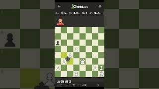 Chess Drue Tranquill Checkmate