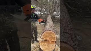 When They Make a Fuel Injected Chainsaw…