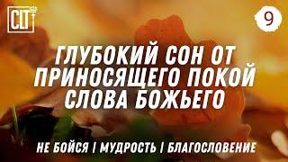 Глубокий сон от приносящего покой Слова Божьего | Деревья, растущие в воде | Relaxing