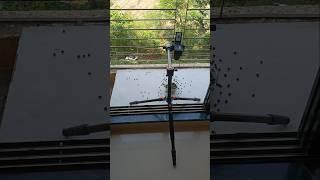 Behind the scenes of birds Feeding ASMR #birds #pigeon #shorts