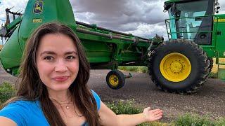 NEW Swather: Exciting start to the Montana Harvest 2024