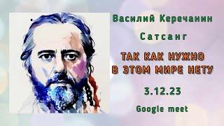 Прямой эфир. Сатсанг 3.12.23 с Василием Керечанин