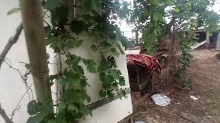 дом снаружи и участок