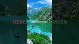 Discover Uzbekistan with Minzifa Travel 
