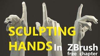 Sculpting Hands in Zbrush - Free Chapter