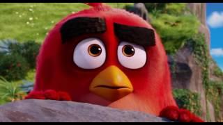 The Angry Birds Movie (2016) Mighty Eagle Scene