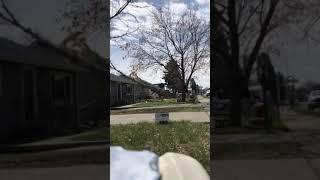 Guy Cuts Tree Which Accidentally Falls Down on the Roof of House - 1193549