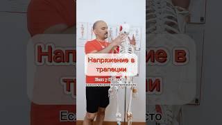 Напряжение в трапеции #анатомия #fitness #трапеция #ростфит #тренер