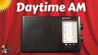 Sony ICF-19 AM FM Radio Daytime AM