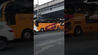 Gold Line Volvo High Decker with CR #bus #tour