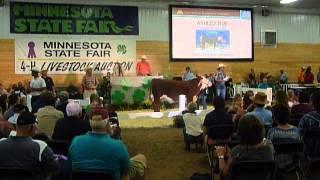 2014 | Ashley Bue | Fillmore County | Reserve Champion Hereford