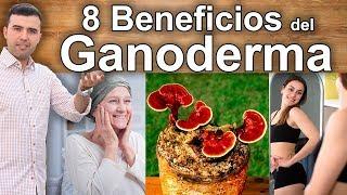 Para que Sirve el Ganoderma Lucidum - 8 Propiedades, Beneficios y Usos Medicinales