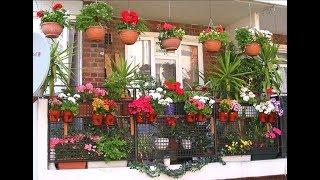 70 Creative  Home Gardening Ideas | Small Garden Design Ideas