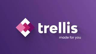 Automating Your Amazon PPC Campaign Management - Trellis Dashboard Overview