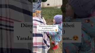 Dünyanın en tatlı sohbeti.  #kurban #kedi #cat #sohbet #short #tatlı #dünya #yaradan #kediseverler