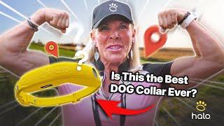 Dr. Powers Reviews The Game-Changing Halo Dog Collar | The GPS Collar Every Pet Owner Needs!