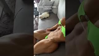 Sexy female bodybuilder's abs - Anna Mroczkowska